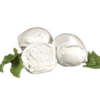 Buffalo Mozzarella